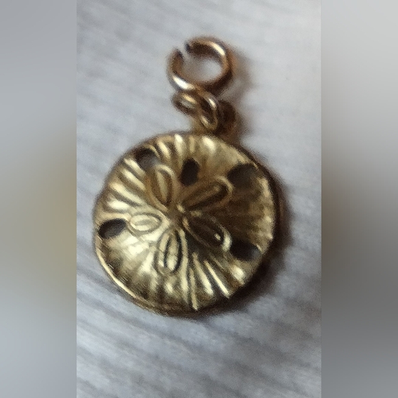 Beach brooches - Picture 9 of 10